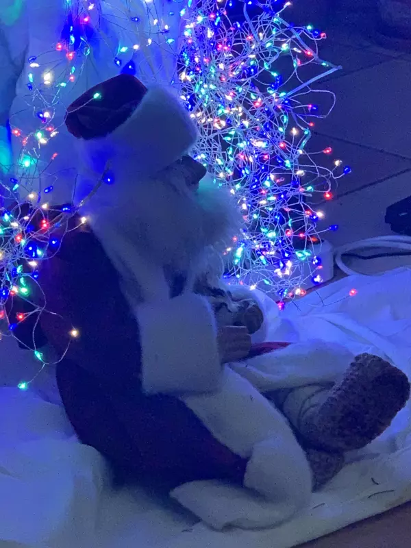 Похвастаемся елками!