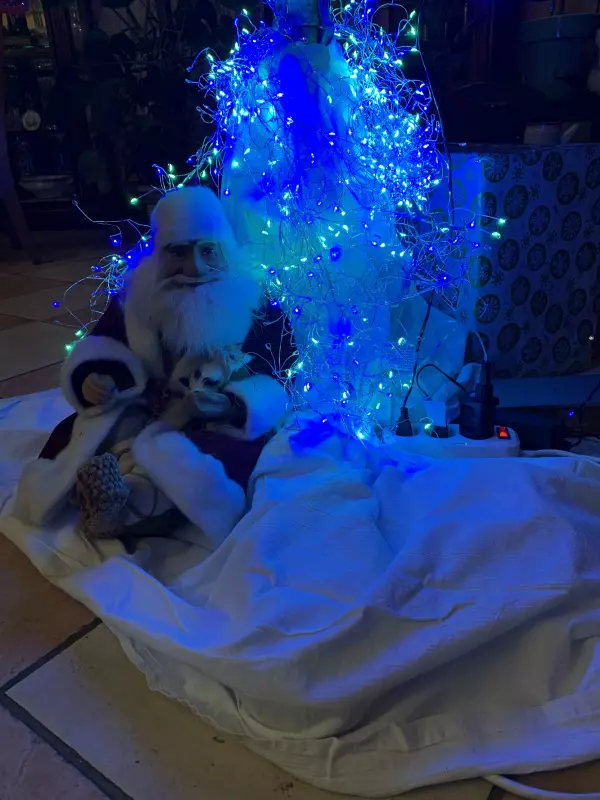 Похвастаемся елками!