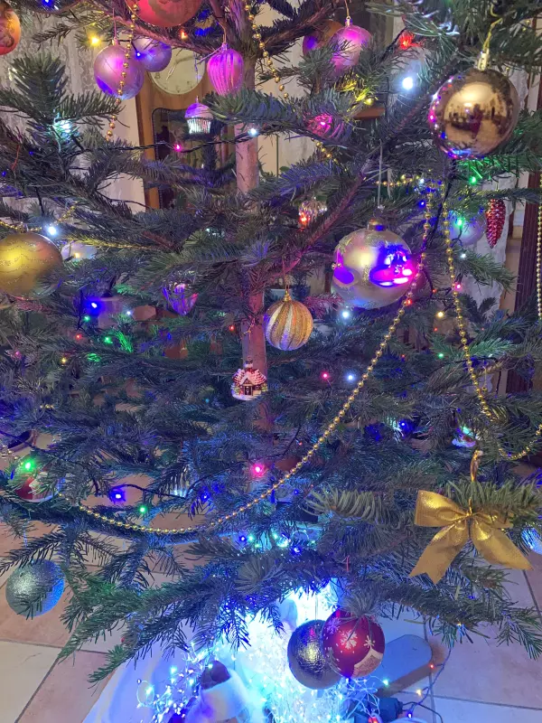 Похвастаемся елками!