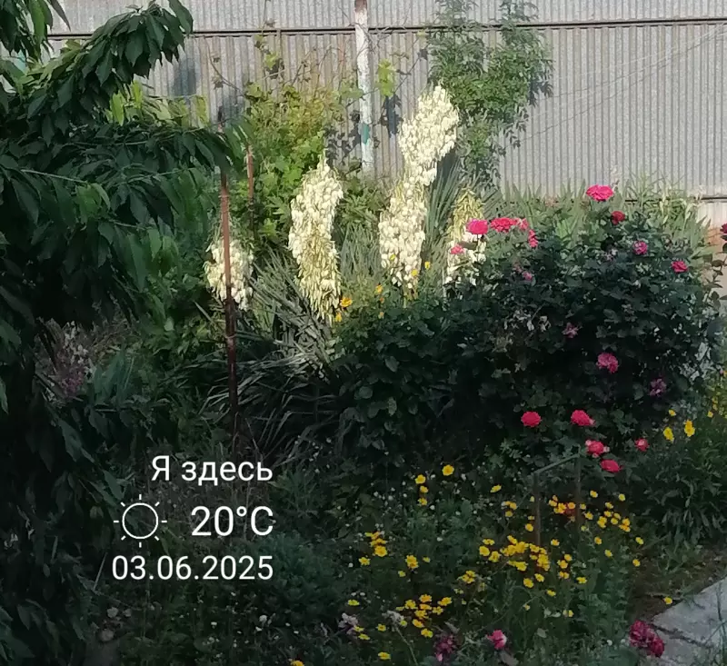 Чайная беседка