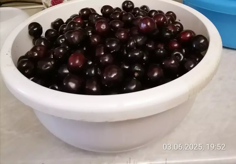 Чайная беседка