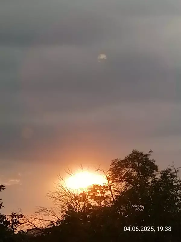 Чайная беседка