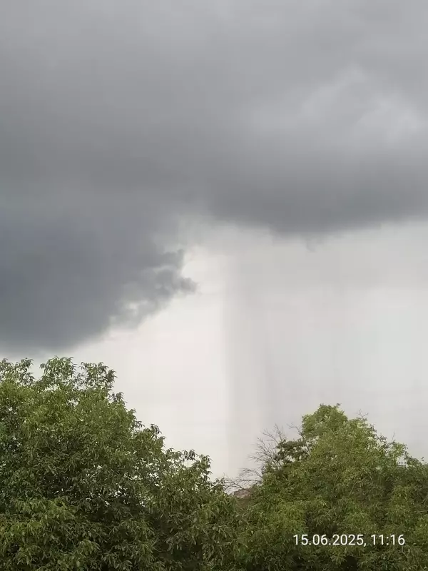 Чайная беседка