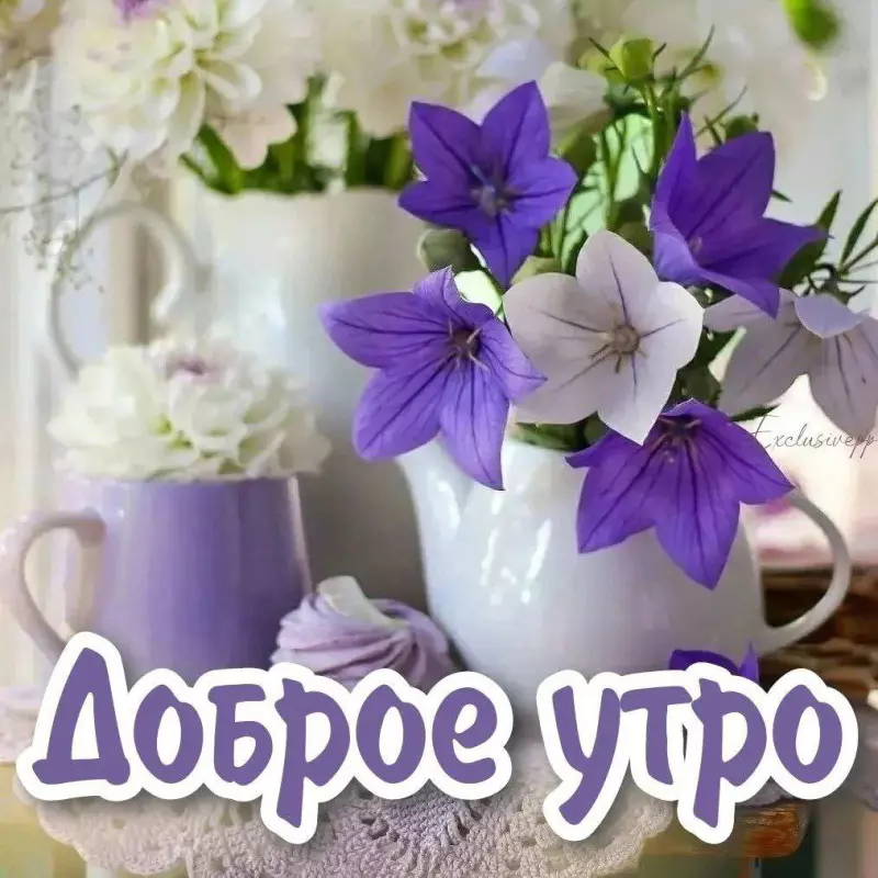 Tapтaлeтки & Ко