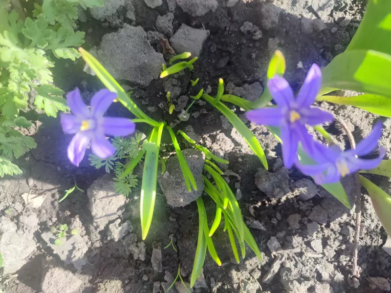 Загородная жизнь - обустройство на земле во всем разнообразии