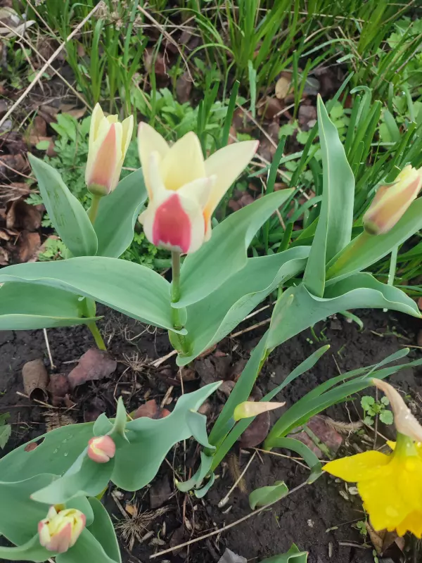 Загородная жизнь - обустройство на земле во всем разнообразии
