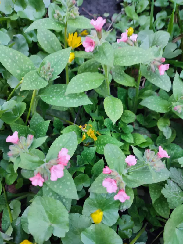 Загородная жизнь - обустройство на земле во всем разнообразии