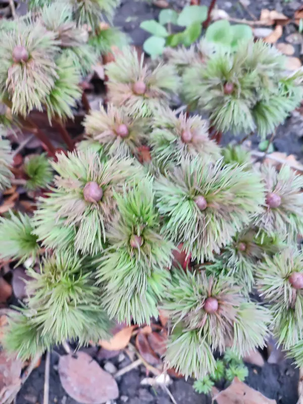 Загородная жизнь - обустройство на земле во всем разнообразии