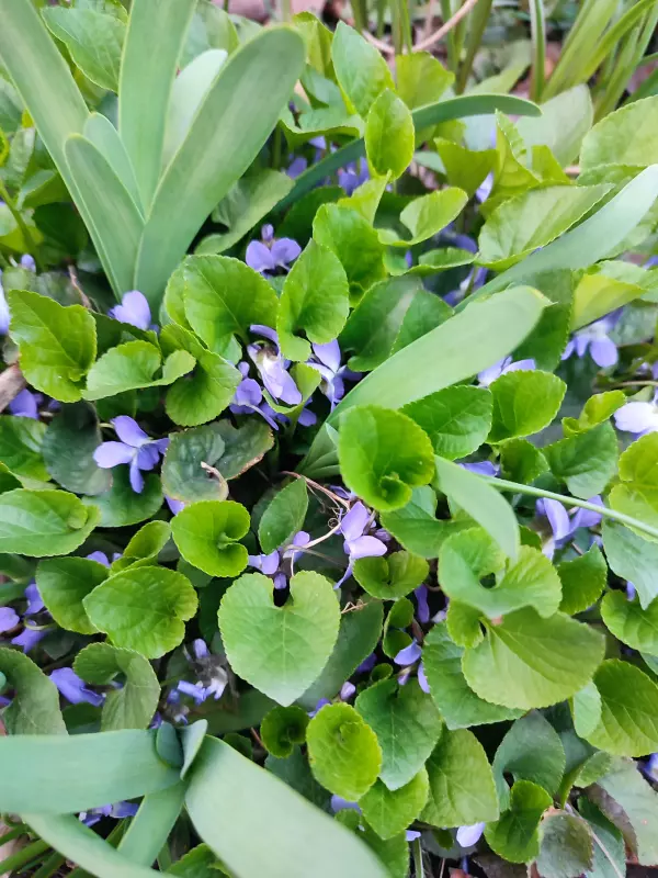 Загородная жизнь - обустройство на земле во всем разнообразии