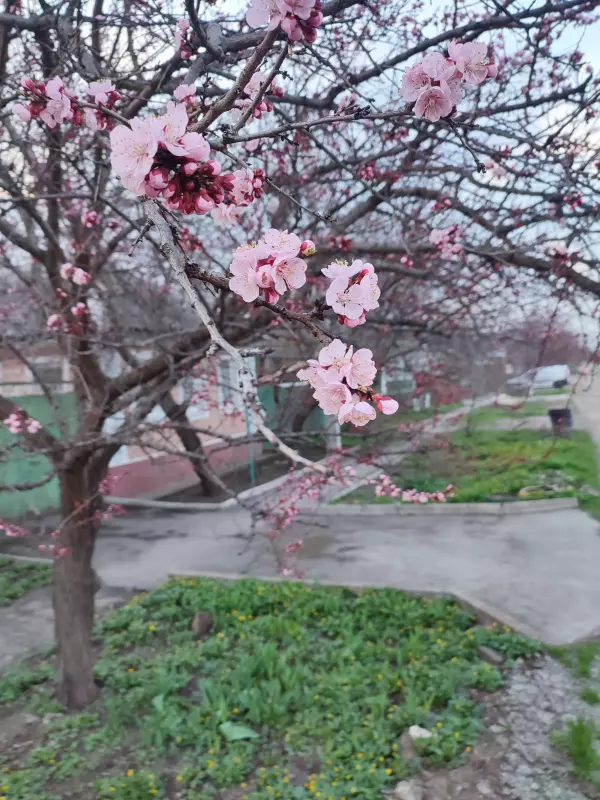 Загородная жизнь - обустройство на земле во всем разнообразии