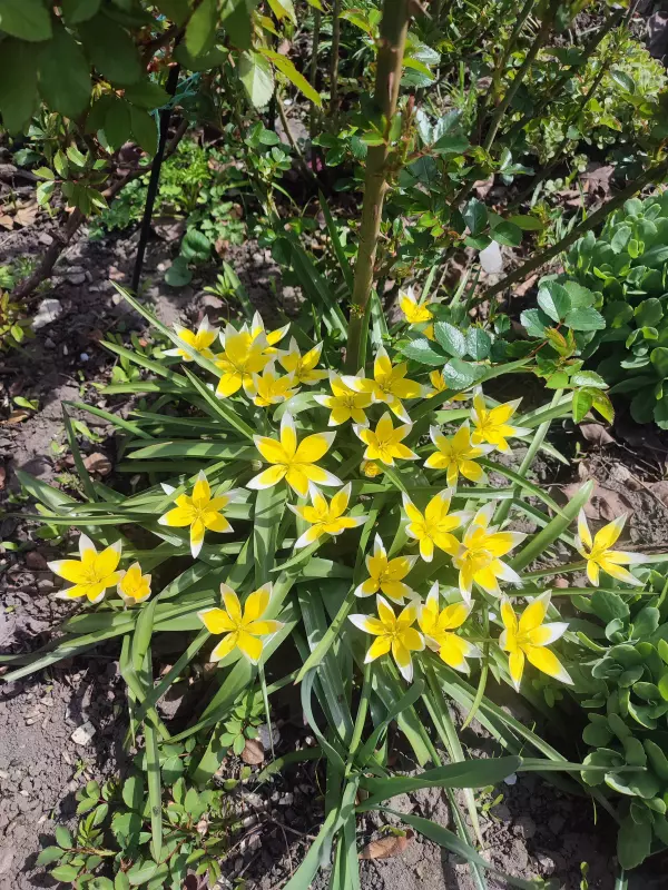 Загородная жизнь - обустройство на земле во всем разнообразии
