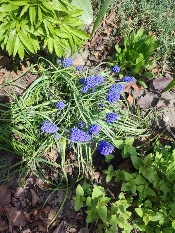 Загородная жизнь - обустройство на земле во всем разнообразии