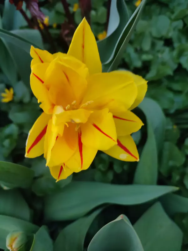 Загородная жизнь - обустройство на земле во всем разнообразии