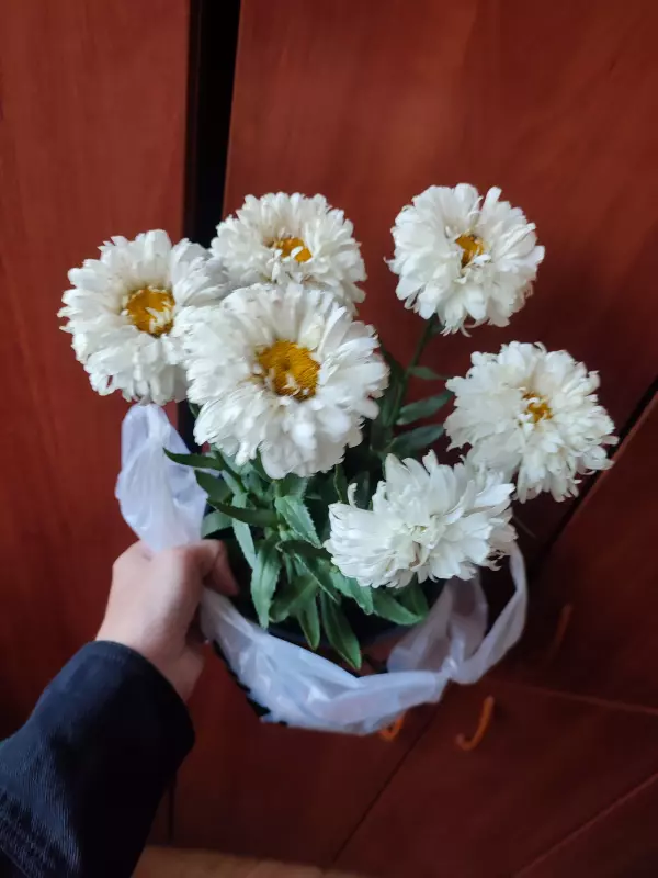 Загородная жизнь - обустройство на земле во всем разнообразии