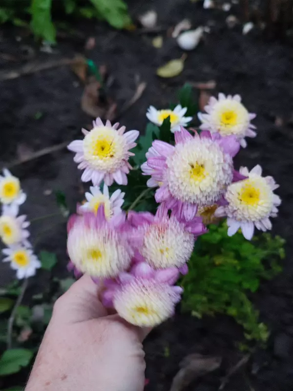 Загородная жизнь - обустройство на земле во всем разнообразии