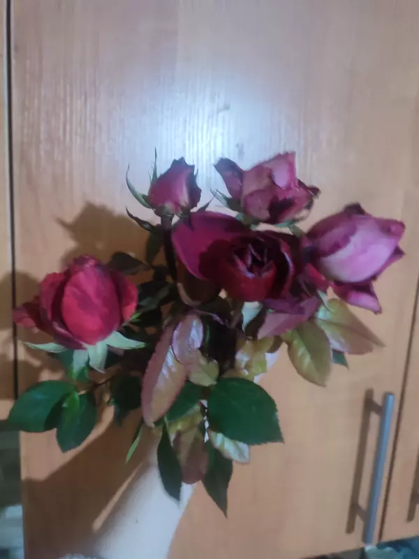 Загородная жизнь - обустройство на земле во всем разнообразии