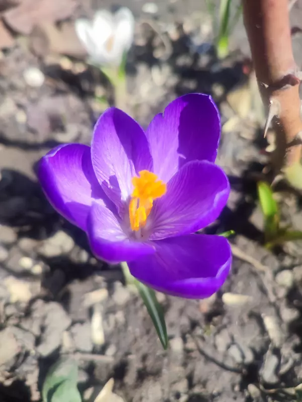 Загородная жизнь - обустройство на земле во всем разнообразии