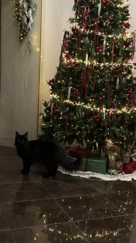 С Новым 2026 годом!