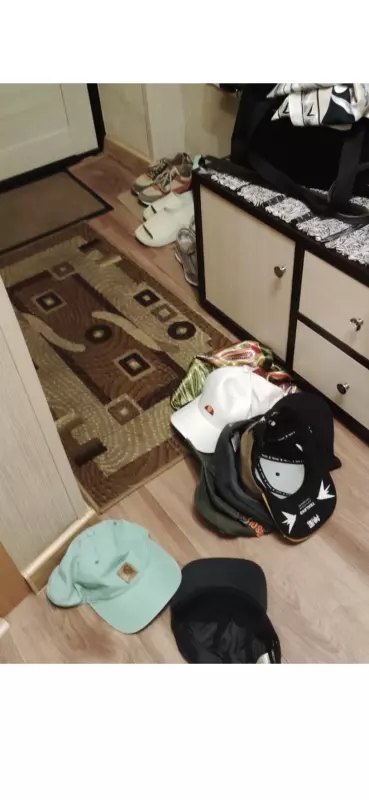 Писается кот
