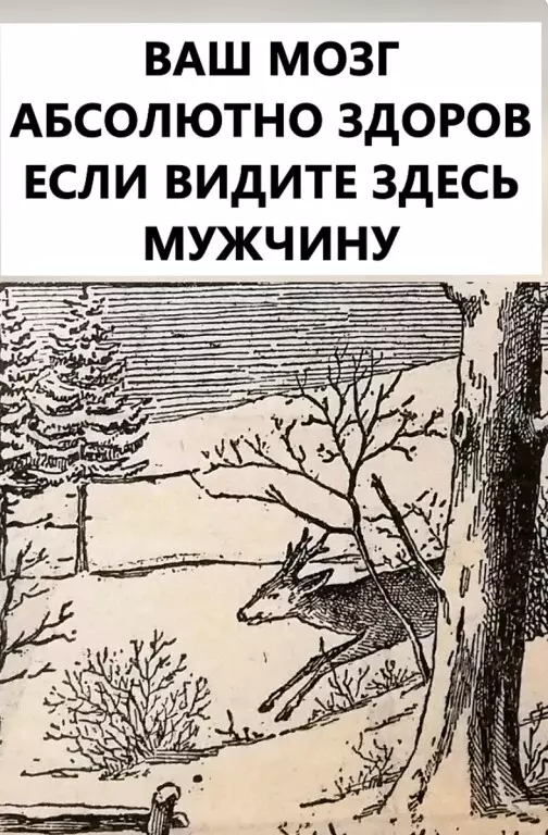 Оптические иллюзии