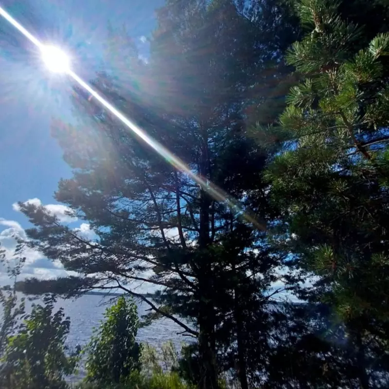 Такое разное небо