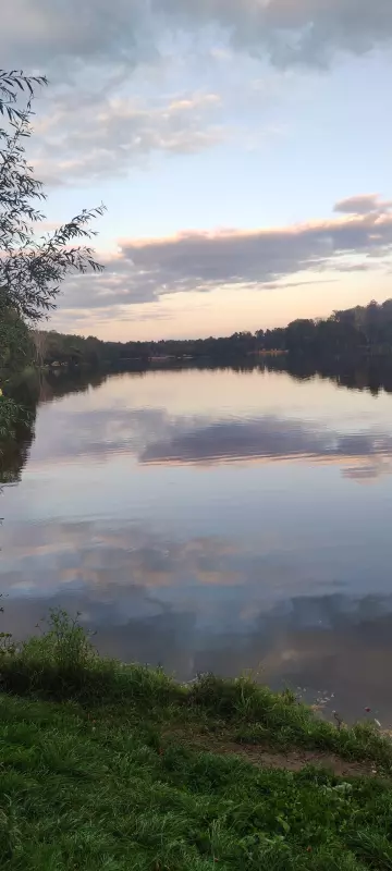 Такое разное небо