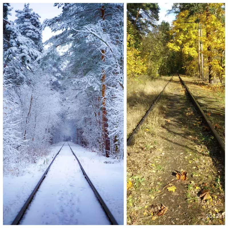Времена года (наши фото)