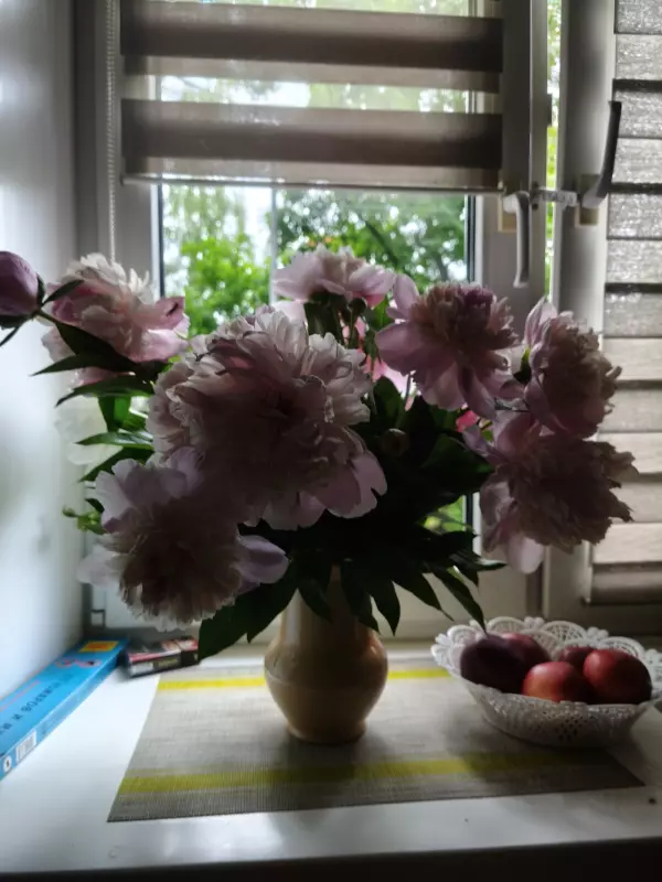 Фотонастроение