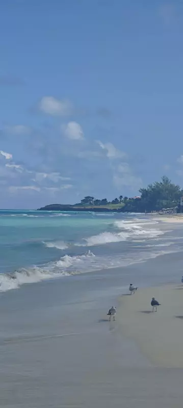 Фотонастроение