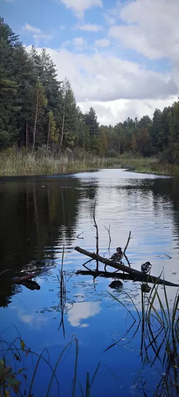 Фотонастроение