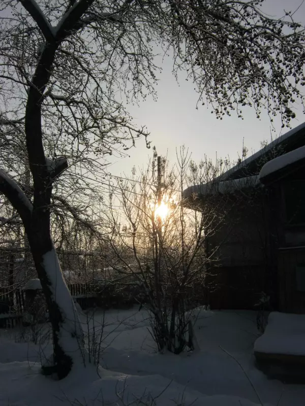 Фотонастроение