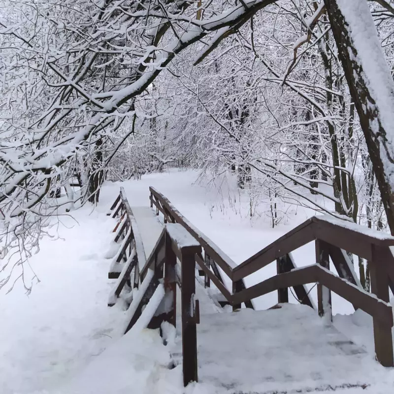 Фотонастроение