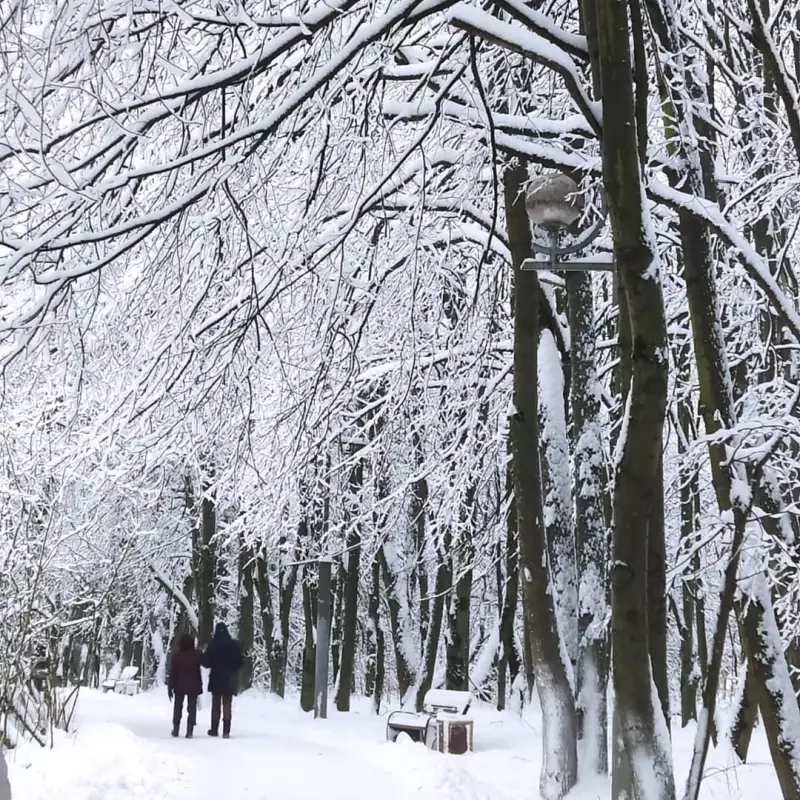 Фотонастроение