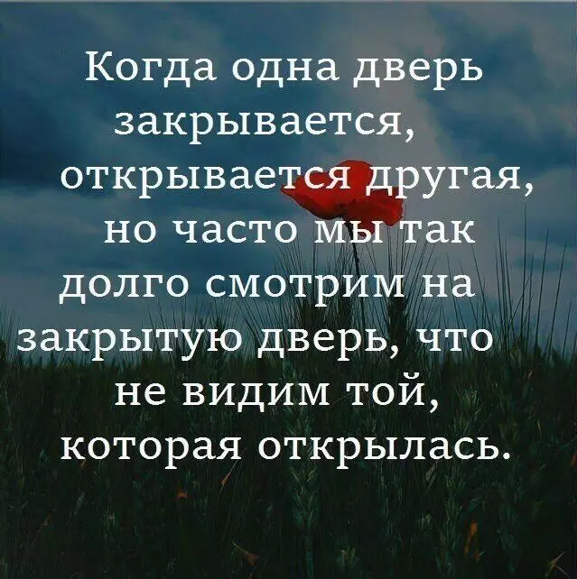 Лаконичная мудрость