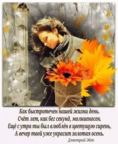 Tapтaлeтки & Ко