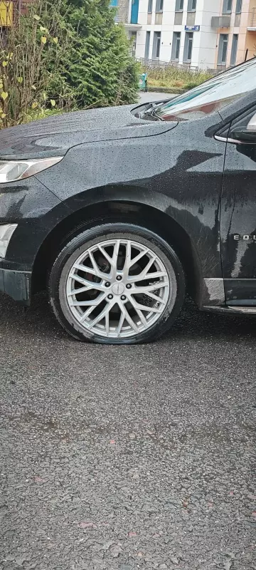 Tapтaлeтки & Ко