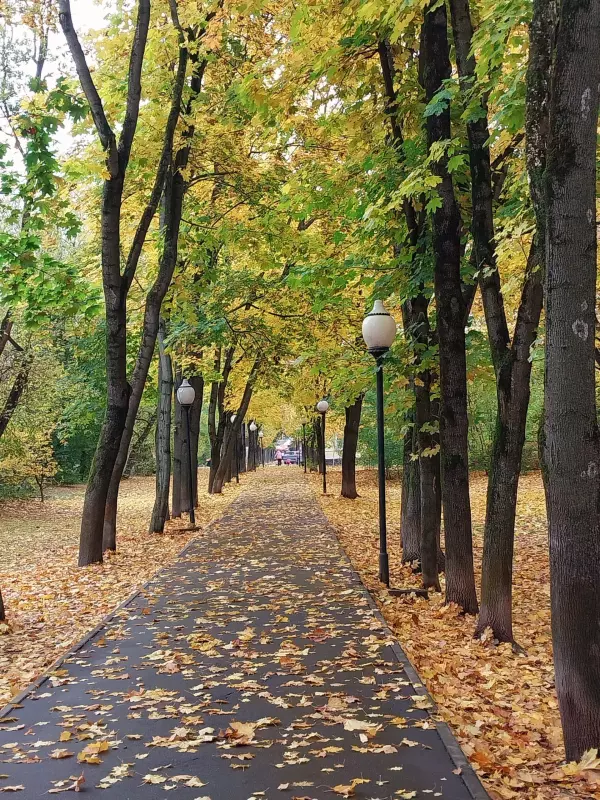 Tapтaлeтки & Ко