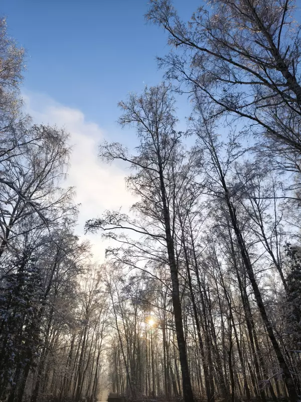 Tapтaлeтки & Ко