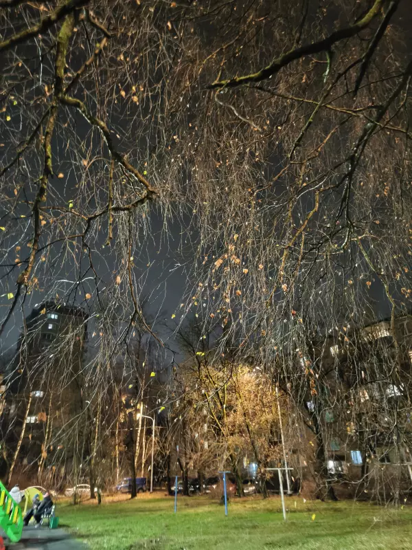 Tapтaлeтки & Ко