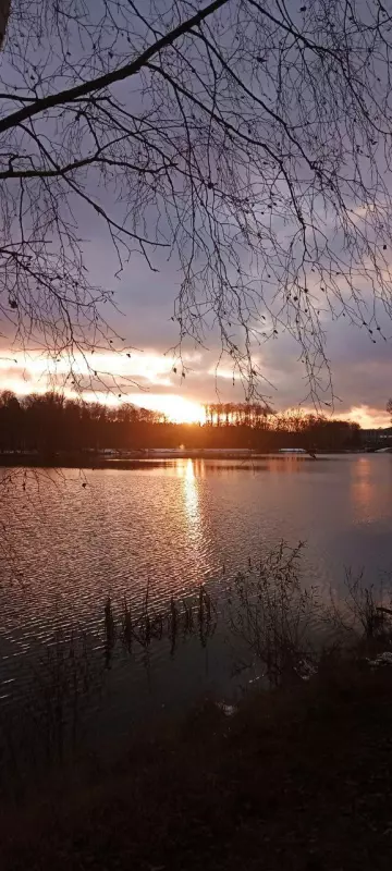 Tapтaлeтки & Ко