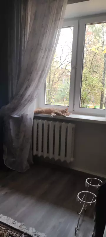 Tapтaлeтки & Ко