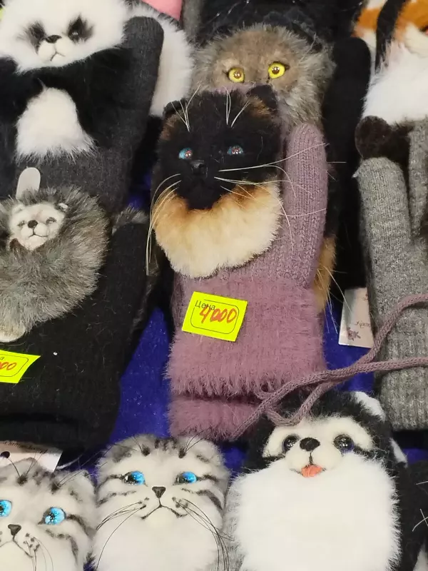 Tapтaлeтки & Ко