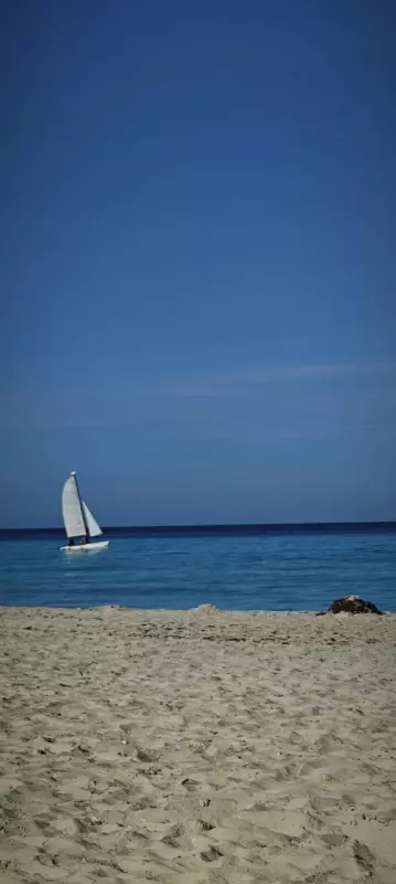 Tapтaлeтки & Ко