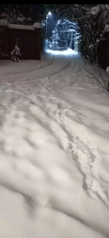 Tapтaлeтки & Ко