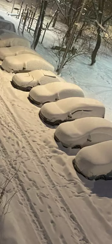 Tapтaлeтки & Ко