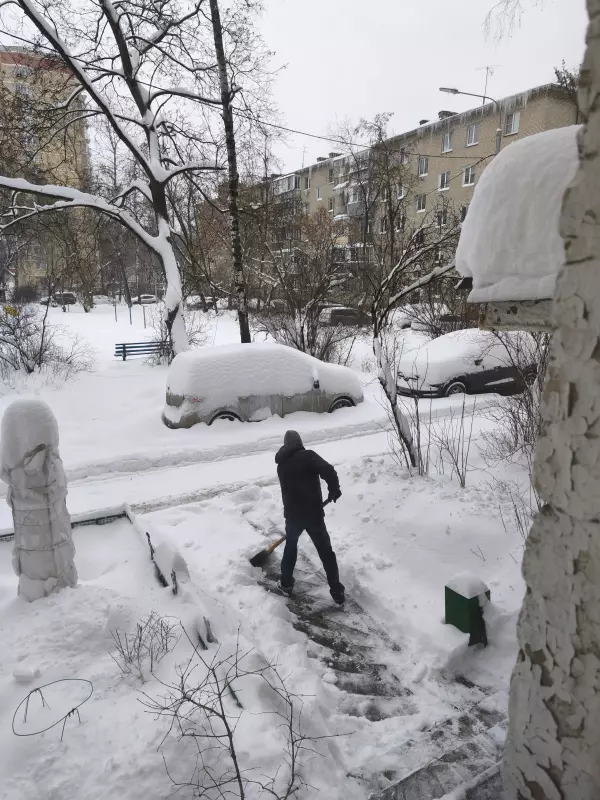 Tapтaлeтки & Ко