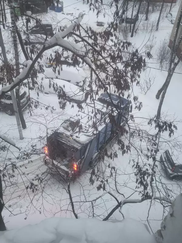 Tapтaлeтки & Ко