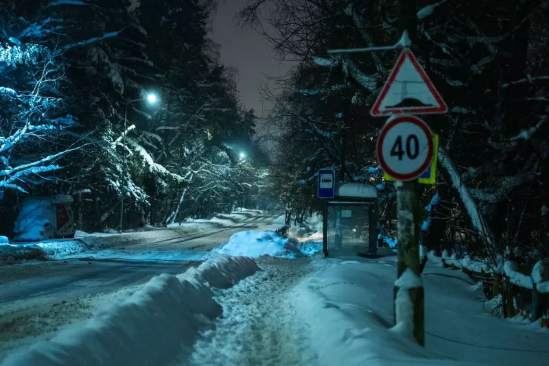 Tapтaлeтки & Ко