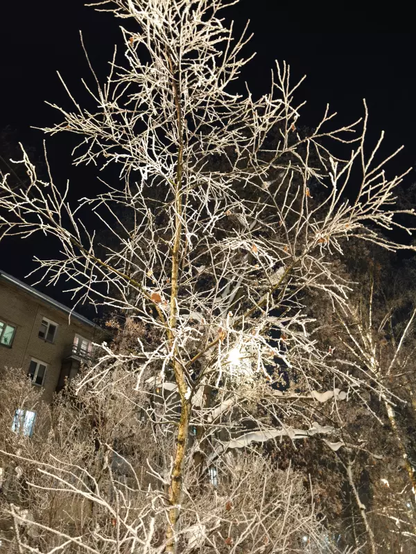 Tapтaлeтки & Ко