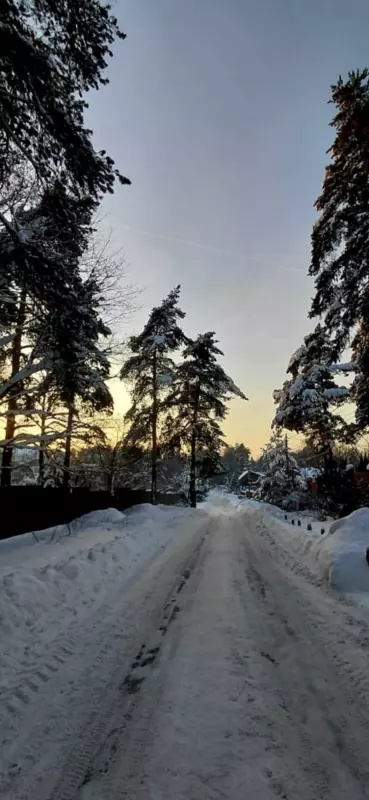 Tapтaлeтки & Ко